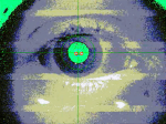 eye